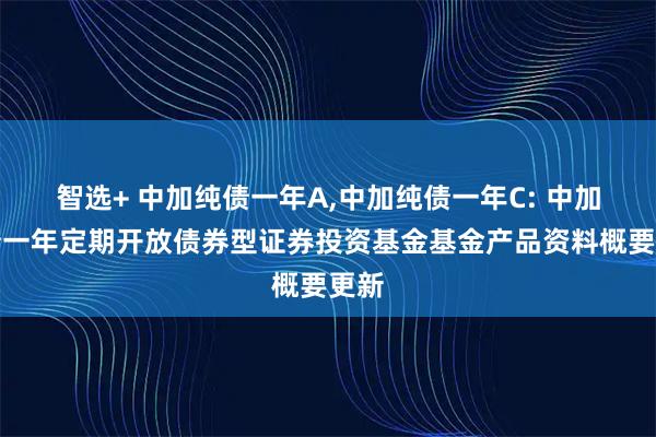 智选+ 中加纯债一年A,中加纯债一年C: 中加纯债一年定期开放债券型证券投资基金基金产品资料概要更新