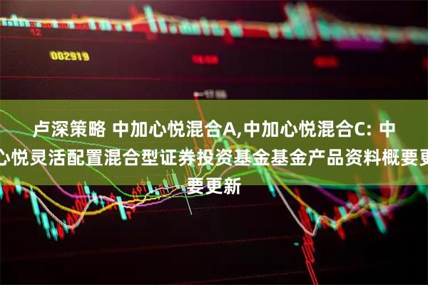 卢深策略 中加心悦混合A,中加心悦混合C: 中加心悦灵活配置混合型证券投资基金基金产品资料概要更新