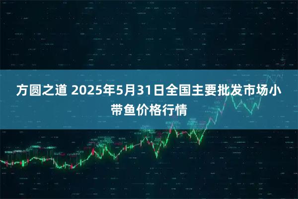 方圆之道 2025年5月31日全国主要批发市场小带鱼价格行情